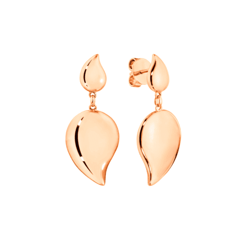 Signature Wave Ohrringe