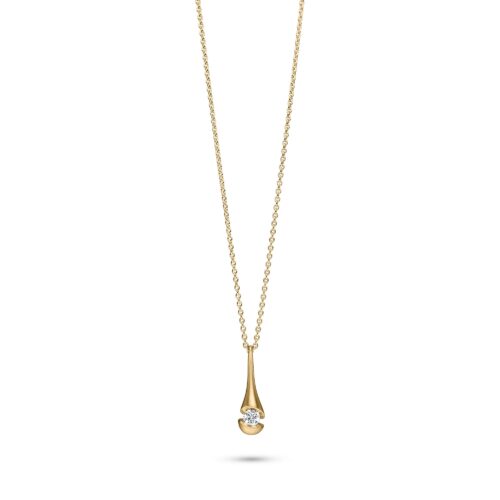 Calla Collier