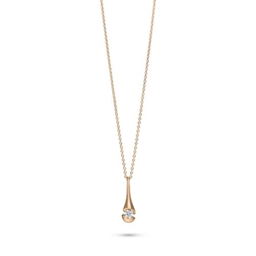 Calla Collier
